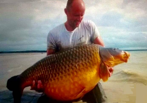 Carpe Lac du Der.png